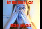 Got that Bitch a cat Bitches Love Cats