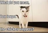 What do you mean, You forgot the chicken muggets?