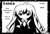 4' 8,5" 89 lb the palmtop tiger has a poSe