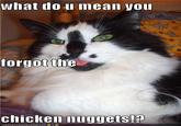 what dou mean you forgot the chicken nuggets!? IORN HAS CHEEZ BURGER.COM