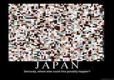 JAPAN Seriously, where else could this possibly happen? DIYDESPAIR.COM