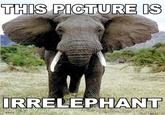 IS IRRELEPHANT