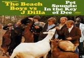 Pet The Beach Sounds: Boys vs In the Key Bullion Presents... J Diila of Dee
