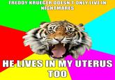 FREDDY KRUEGER DOESN'T ONLY LIVE IN NIGHTMARES HE LIVES IN MY UTERUS TOO