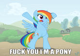 F--- YOU I'MA PON