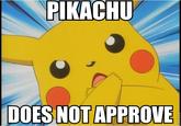 PIKACHU DOES NOT APPROVE