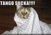 TANGO SUCKA!!!!