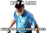 BUY A LION PUNCH IT IN THE F----- FACE