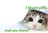I found pills. And ate them!