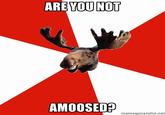ARE YOUNOT AMOOSED? memegenerator.net