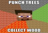 PUNCHTREES COLLECT WOOD