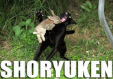 SHORYUKEN