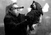 TRUST NO BITCH ETERNALLYPOTTE