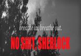 breathe in, breathe out. NO S---, SHERLOCK