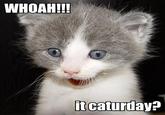WHOAH!!! tcaturday