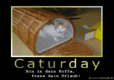 Caturday Bin in dain Koffa fress dain Urlaub! by www.hoerwolle.de