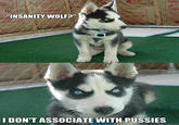 INSANITY WOLFD" DON'T ASSOCIATE WITH P------ quickmeme.com