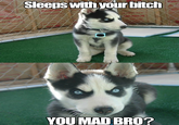 Sleeps with your bitch 07 YOU MAD BRO?