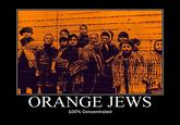ORANGE JEWS 100% Concentrated