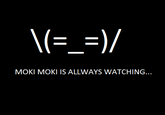 MOKI MOKI IS ALLWAYS WATCHING...