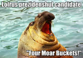 LOMIS.prezidensnul candidate "Four Moar Buckets!"