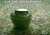 'M THE JUGGERNAUT, BITCH