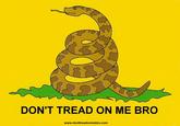 DON'T TREAD ON ME BRO www.donttreadonmebro.com
