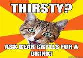 THIRSTY? ASK BEAR GRYLLS FORA DRINK!