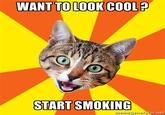 START SMOKING memegenerator. net