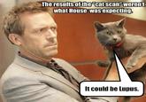 ofthe The results "cat scan"' werenit what House was expecting It could be Lupus