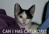 CAN I HAS CATURDAY?