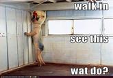pc131567047911_petichan.jpg Walkin see this wat do?