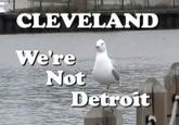 CLEVELAND We're Not Detroit