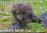 Tarzai s amp it goes to 11 JEANHASCHEEZEURGER.COM '