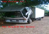 Imagen006.jpg OH DAMN IT My dog left the house