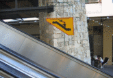 df50ca9a7ff953737adc7f7bb5162688.gif