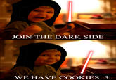 JOIN THE DARK SIDE WE HAVE COOKIES:3