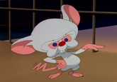 TheBrainTeapot.png