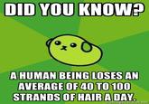 DID YOU KNOW? A HUMAN BEING LOSES AN AVERAGE OF40 TO 100 STRANDS OF HAIR A DAY emegenerator.net