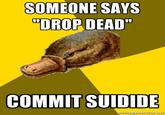 SOMEONE SAYS "DROP DEAD COMMIT SUIDIDE memssigriarator.ier 胦寝