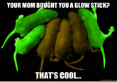mice.png YOUR MOM BOUGHT YOU A GLOW STICK? THAT'S COOL... quickmeme.com