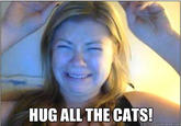 HUG ALL THE CATS! quickmeme.com