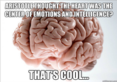 ARISTOTLE THOUGHTTHE HEART WAS THE CENTEROF EMOTIONSANDINTELLIGENCE? THATS COOL