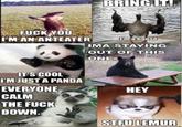 BRINGTT F--- VOu IN AN ANTEATERS リ maGoose IMA STAYING OUT OF THIS ONE ITS COOL IM JUST A PANDA EVERYONE CALM THE F--- DOWN HEY STFU LEMUR evilmilk.com