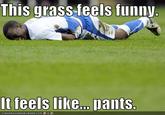 This grass feels funny It feels like... pants. CANHASCHEEZBURGER.COM '$ミら