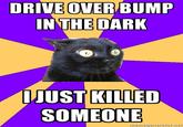DRIVE OVER BUMP N THE DARK JUST KILLED SOMEONE memeienerator.ne