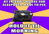 AT FRIEND'S HOUSE FOR SLEEPOVER., HAVE TO PEE. HOLDITTIL MORNING memegenerator.ne