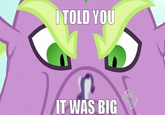 ITOLD YOU IT WAS BIG