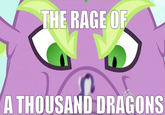 THE RAGE OF A THOUSAND DRAGONS