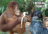 417.jpg INEED AN ADULT! sof me